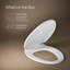 Brevia Toilet Seat with Quick-Release Hinges and Grip-Tight Bumpers-613614077-559542288