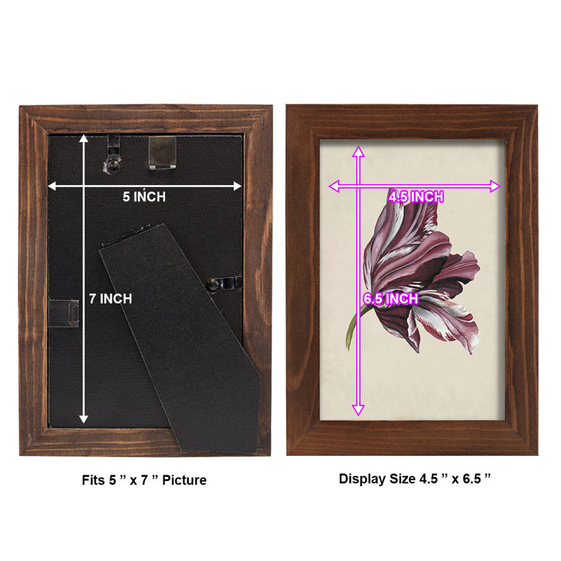Antique Tulip Study III - Impression encadrée avec verre, H 9 po x l 7 po x P 1 po, Châtaigne