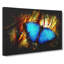 Butterfly Vol.7 Paint Splash - Wrapped Canvas-64024537