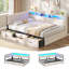 Drawers Daybed-596304172-596304175