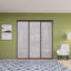 3 portes de placard coulissantes en verre givré, paravent-55388107-55388103