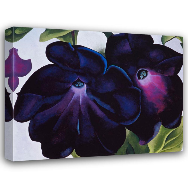 Pétunias noirs et mauves, H 36 po x l 45 po