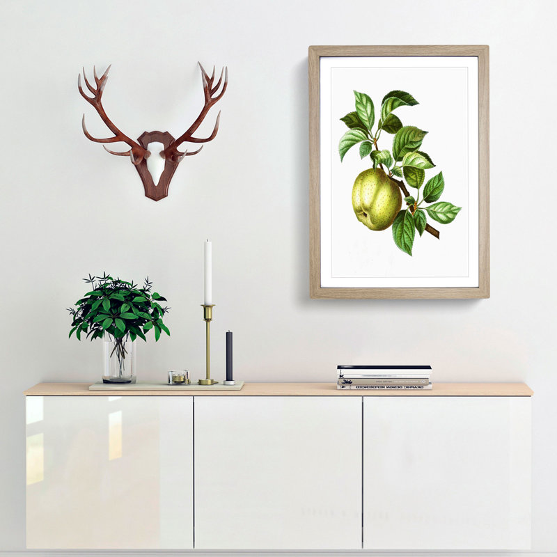 Green Apple by Pierre-Joseph Redoute - Picture Frame Painting Print, Oak Framed, 36cm H x 27cm W x 2cm D