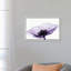 Anemone II - Print on Canvas-113646098-101342013