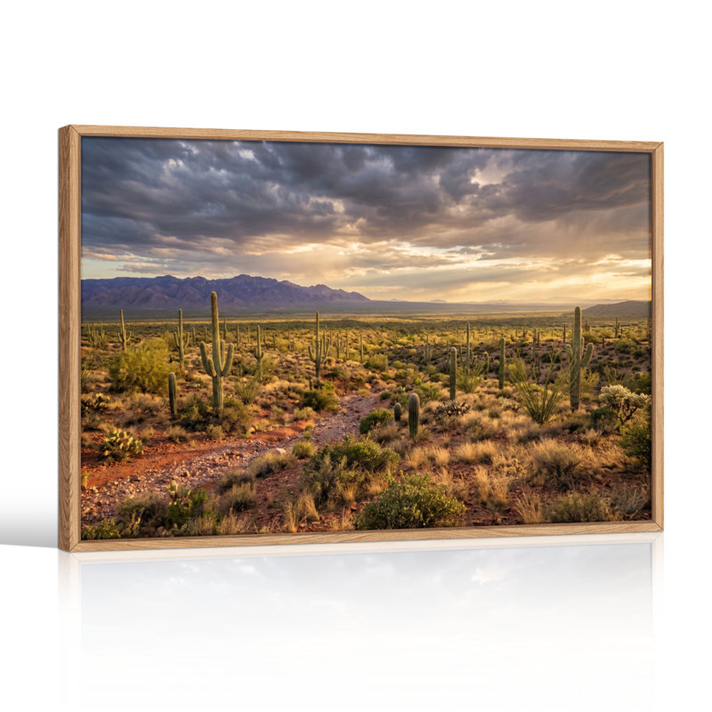 Ensemble de 1 tableau sur toile représentant un paysage désertique, H 36 po x l 48 po, Naturel