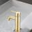 Bathroom Faucet with Drain Assembly