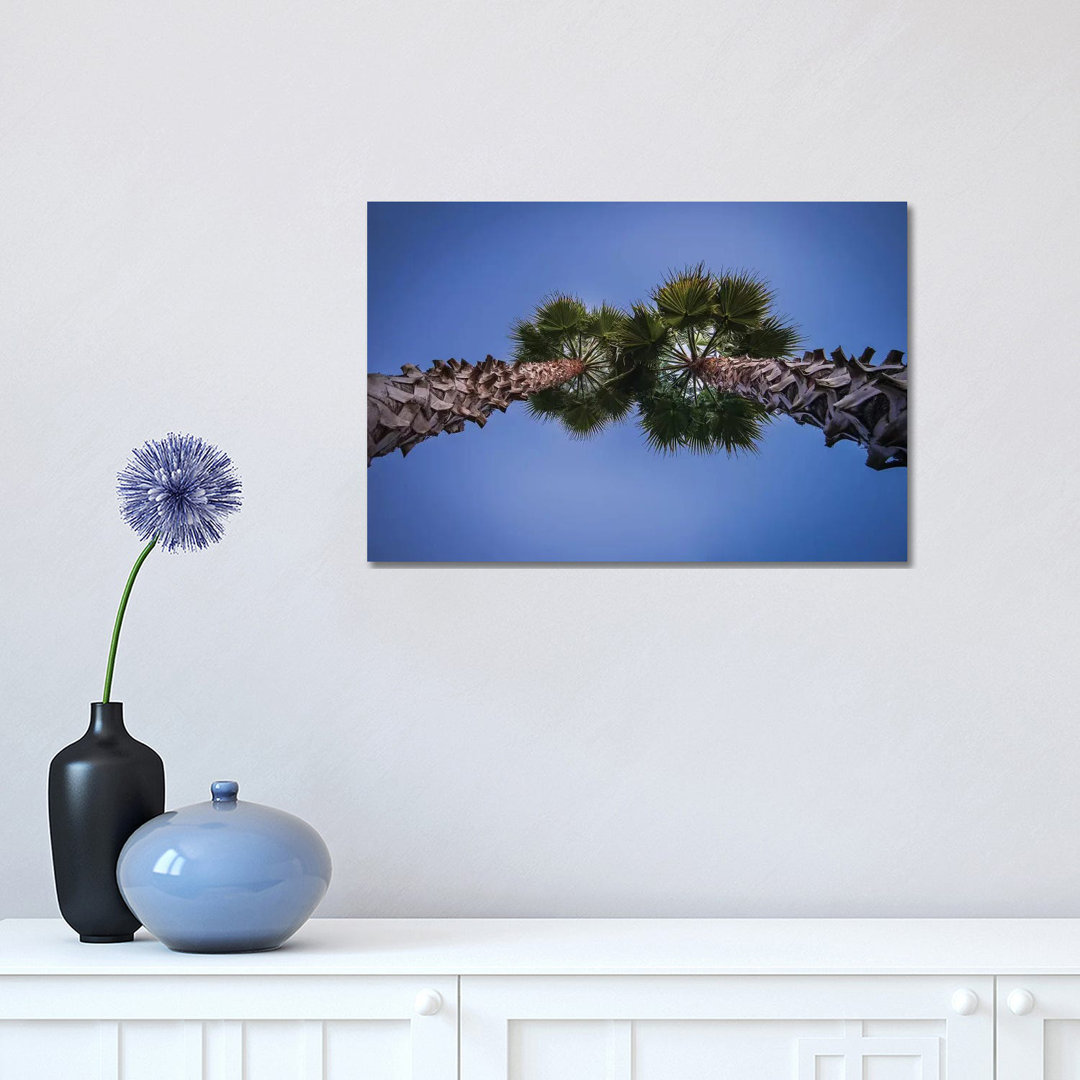 Pine Cones On The Tree by Glauco Meneghelli - Wrapped Canvas Print