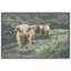 Animaux lavés en Écosse Highland Country Cow-93629608-93629605