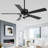 Joquin 52'' Dimmable LED Ceiling Fan with 3 Color Lights and Remote Control, Double-Sided Blades, 6-Speed Reversible DC Motor -386887446