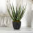 18'' Faux Aloe Succulent in Planter