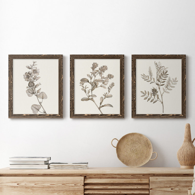 Neutral Botanical Study I - Ensemble de 3 reproductions d'art sur toile, H 24 po x l 36 po x P 1,5 po, Noyer