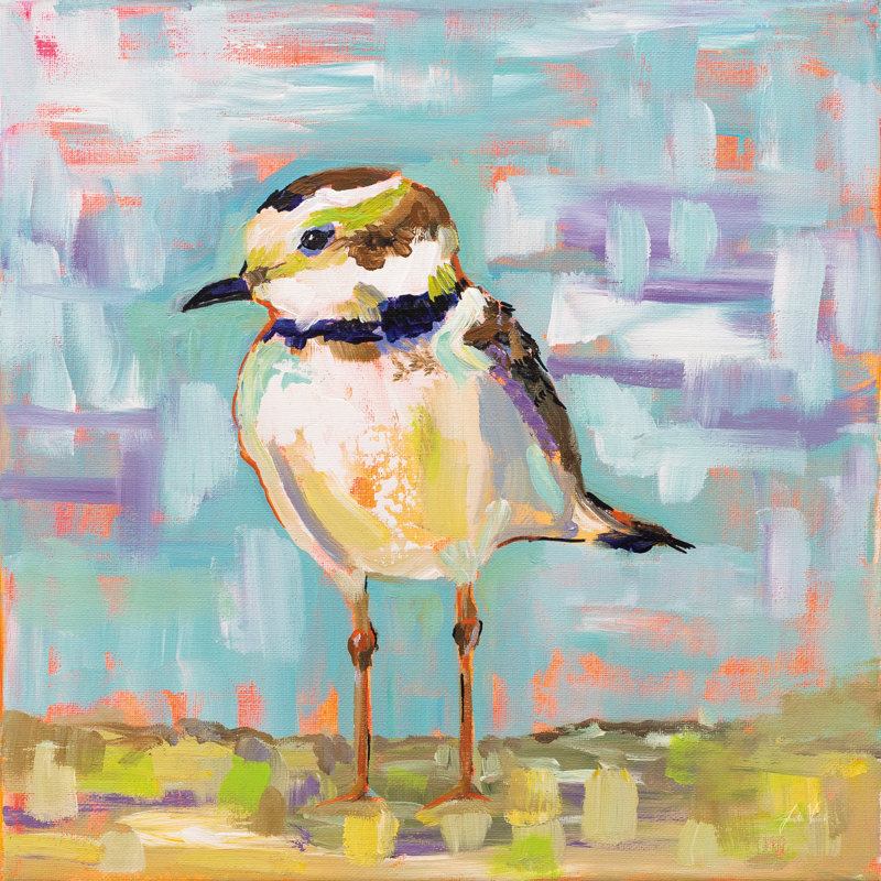 Coastal Plover II by Jeanette Vertentes - Wrapped Canvas Painting, 51cm H x 51cm W