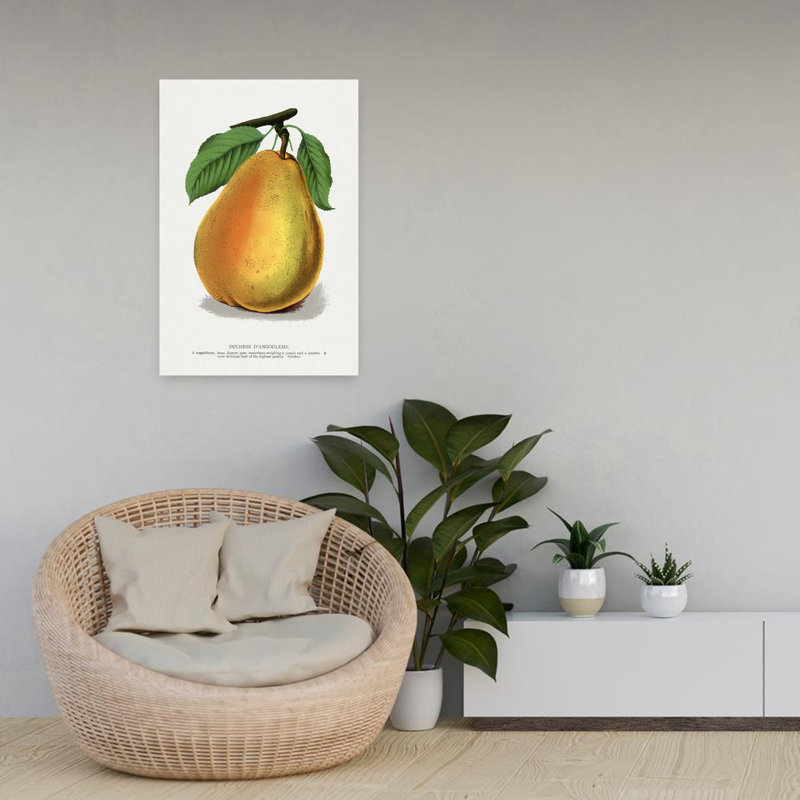 «Duchess D'angouleme Pear», art mural rétro rétro, 24" H x 16" W