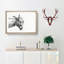 A Head Of A Donkey by Jean Bernard - Single Picture Frame Print-55453359-55453360