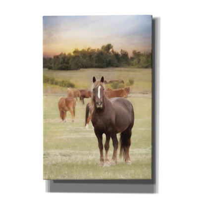 Jackson Horse Farm - Wrapped Canvas Print