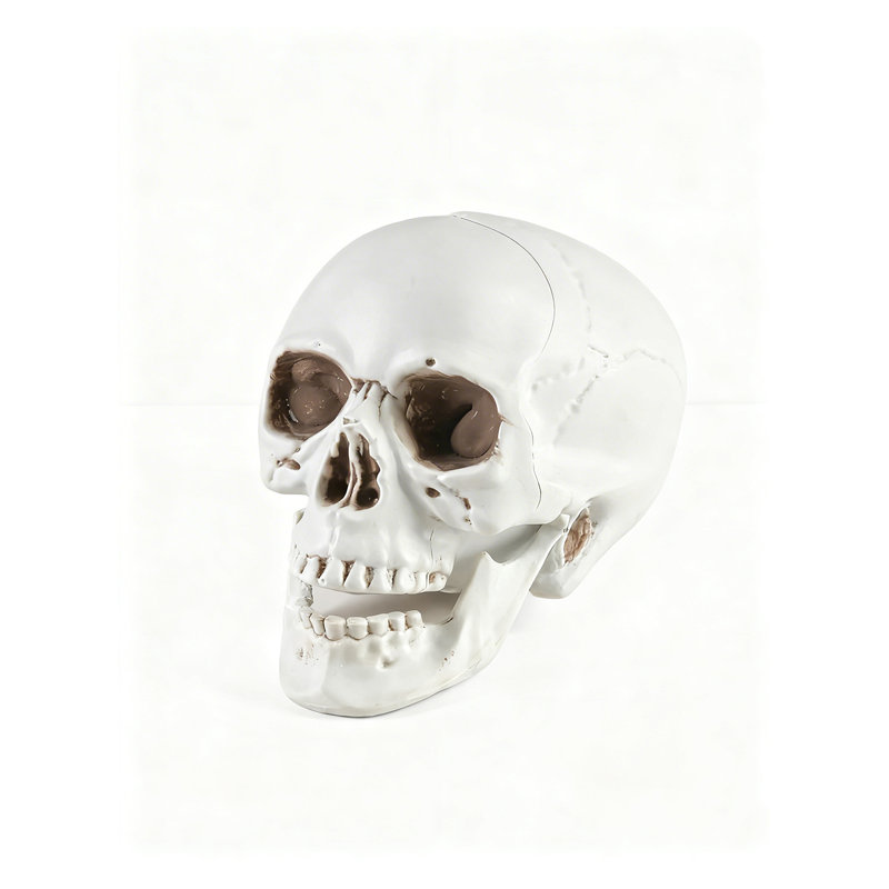  Décoration de crâne en plastique - Figurine de crâne réaliste pour Halloween, décor de maison gothique et présentation de fête à thème - plateau de table, tablette, manteau de cheminée, 7 po de largeur et 9 po de hauteur