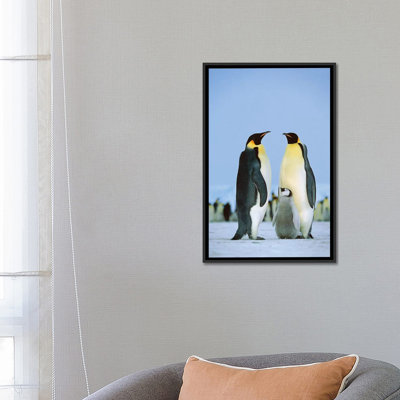 «Emperor Penguin Family, Antarctica», reproduction de photo sur toile