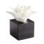 Calendine Landscape & Nature Figurines & Sculptures-2001312843