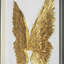 Décoration murale boîte d'ombre Gold Wings