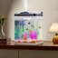 Aquarium aquarium à DEL 2 gallons