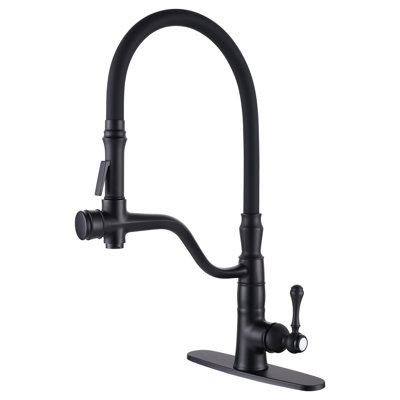 Aleasha Kitchen Faucet