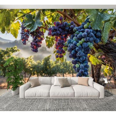 Peel and Stick Wallpaper Fresh Grapes Vine Morning Dew Sunlight Wall Murals 100"H x 144"W Removable PVC Wall Paper Self-Adhesive Wall Decor for Bedroom Living Room Home Office