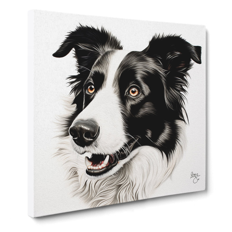 Border Collie Drawing - No Frame Print, 50cm H x 50cm W x 3cm D