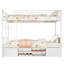 European Single (90 X 200 Cm) Bunk Bed with Storage Included with Built-in Ladder Included-1618095813