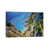 Canvas selected