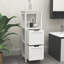 Armoire de rangement autoportante en bois