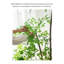 Ornement artificiel d'intérieur en pot Nandina Domestica
