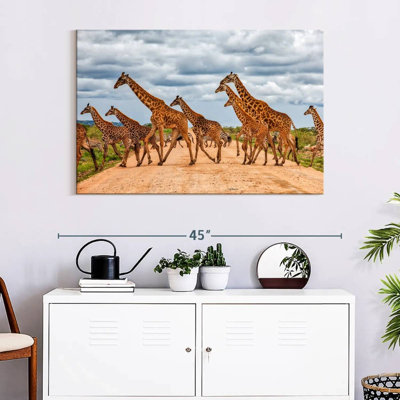 Girafes, animaux de safari