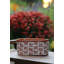 Planter-748794110-748794097