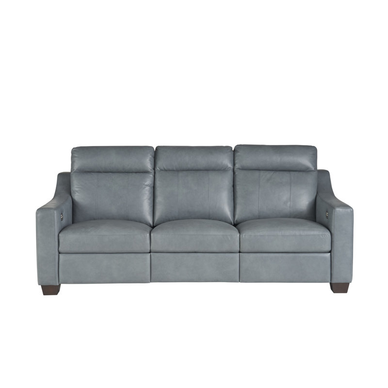 Higgins Leather Power Reclining Sofa