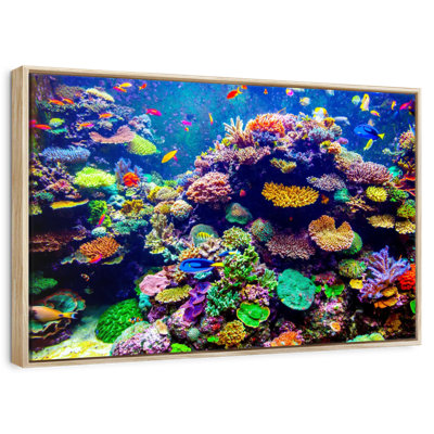 Aquarium de Singapour, récif de corail