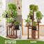 Plant Stand