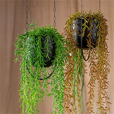 Ahziyah Metal Hanging Planter