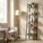 Maurus 5-Shelf Metal Freestanding Ladder Bookcase-1731312449-1710334876