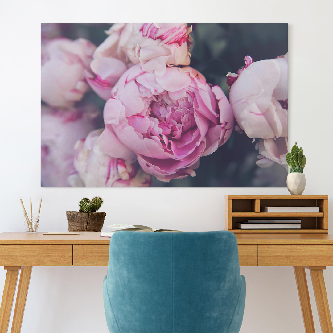 Leinwandbild Peony Flower Shabby