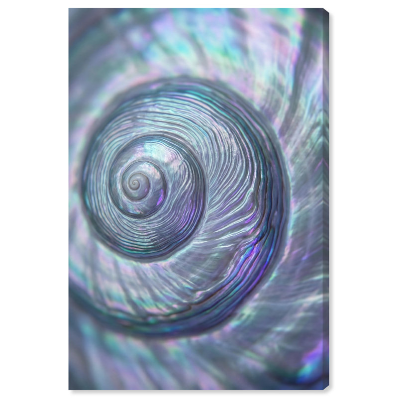 Sea Spiral Print by Oliver Gal, 54"H x 36"W, Gallery Wrapped