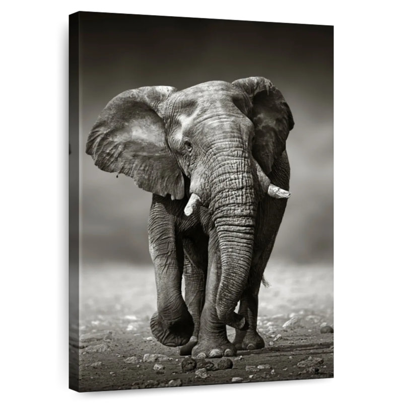 Brampt Namibian Elephant, 51" H x 34" W