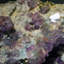 Decorative Stone Decorative Object
