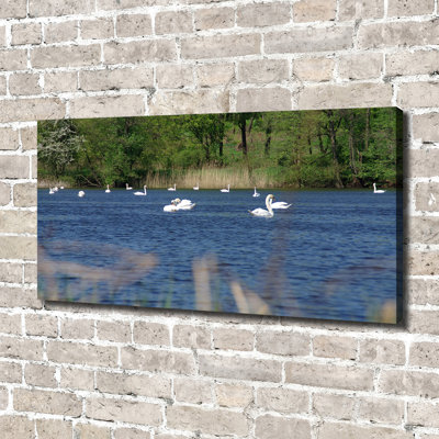 White Swans - Wrapped Canvas Print