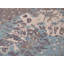 Tapis contemporain 6 x 8