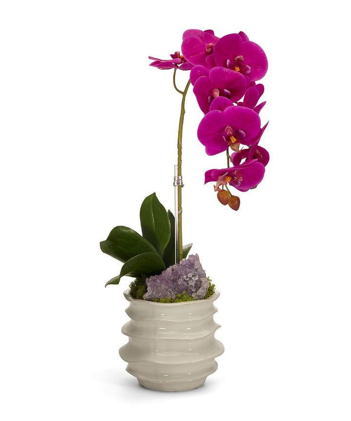 Orchid Arrangement in Pot T&C Floral Company