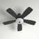 52"  5 - Blade Standard Ceiling Fan with Pull Chain and Light Kit Included