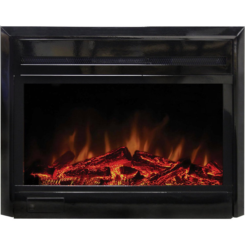 30.7'' W Fireplace Insert