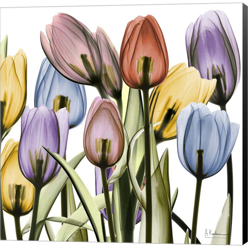 Décoration murale Tulipscape