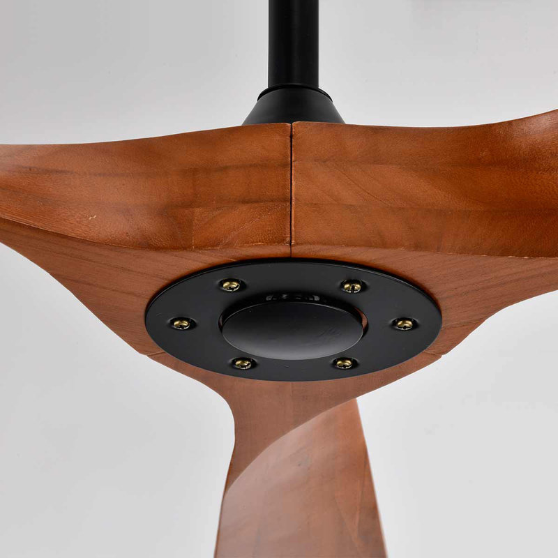 Haydar 52'' Ceiling Fan