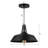 Barn Pendant Lamp 14"